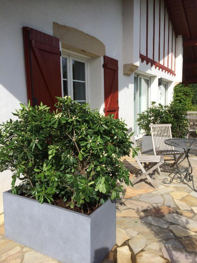 Maison D'Hotes Urbegia Ascain Zewnętrze zdjęcie